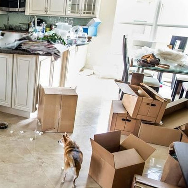 Residential Moves